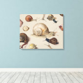 Snail Slug Garden Pet Gastropod Botanical Snails Canvas Afdruk (Insitu (Houten vloer))