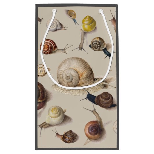 Snail Slug Garden Pet Gastropod Botanical Snails Klein Cadeauzakje (Achterkant)