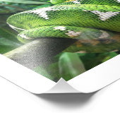 Snake Afbeelding Foto Afdruk (Hoek)