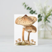 Snake Agaric Funghi Script | Briefkaart (Staand voorkant)