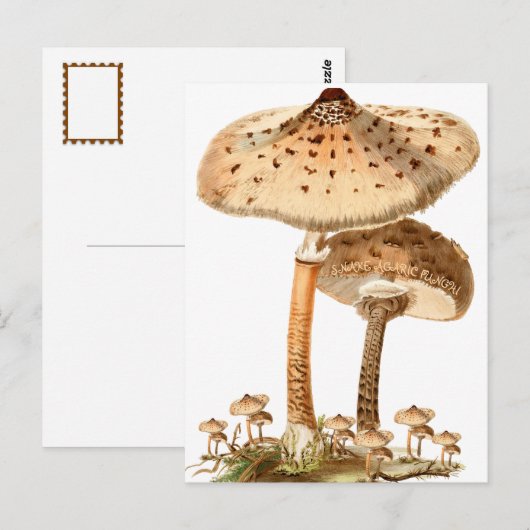 Snake Agaric Funghi Script | Briefkaart (Voorkant / Achterkant)