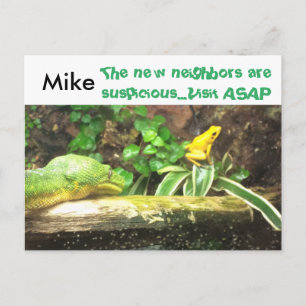 Snake and frog grappig nieuw adres briefkaarten