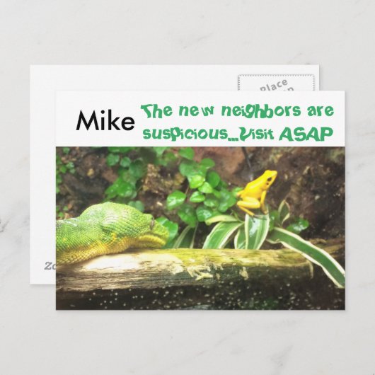 Snake and frog grappig nieuw adres briefkaarten (Voorkant / Achterkant)