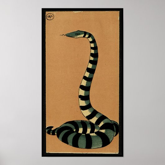 Snake - Antiquarian, Colorful Book Illustration Poster (Voorkant)