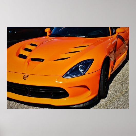 Snake Bitten Poster (Voorkant)