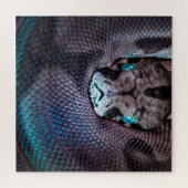 Snake boa anaconda python reptile snakeskin legpuzzel (Horizontaal)
