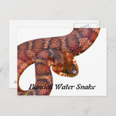 Snake Briefkaart (Voorkant / Achterkant)