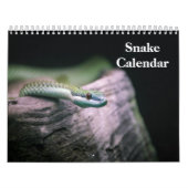 Snake Calendar 2026 Kalender (Hoes)