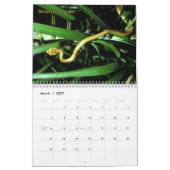 Snake Calendar Kalender (Mar 2027)