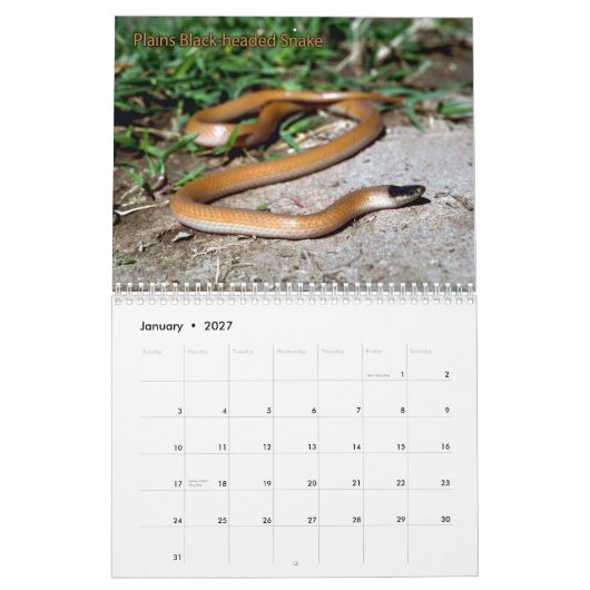 Snake Calendar Kalender (Jan 2027)