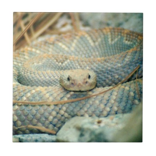 Snake Ceramic Tile Tegeltje (Voorkant)