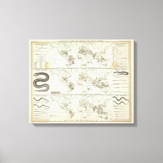 Snake Distributions Canvas Afdruk (Voorkant)