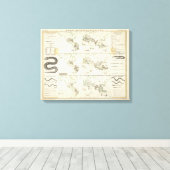 Snake Distributions Canvas Afdruk (Insitu (Houten vloer))
