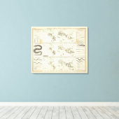 Snake Distributions Canvas Afdruk (Insitu (Houten vloer))