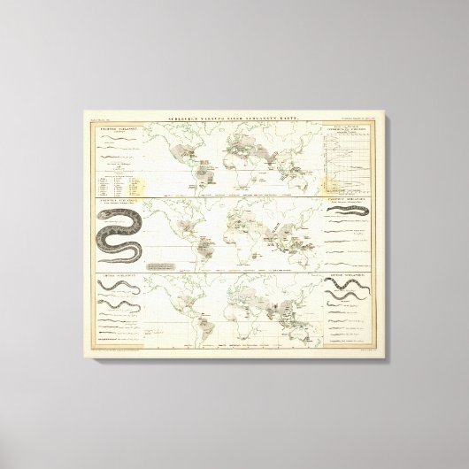 Snake Distributions Canvas Afdruk (Voorkant)