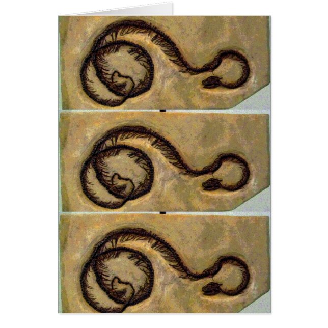 Snake Fossil CB (Voorkant)
