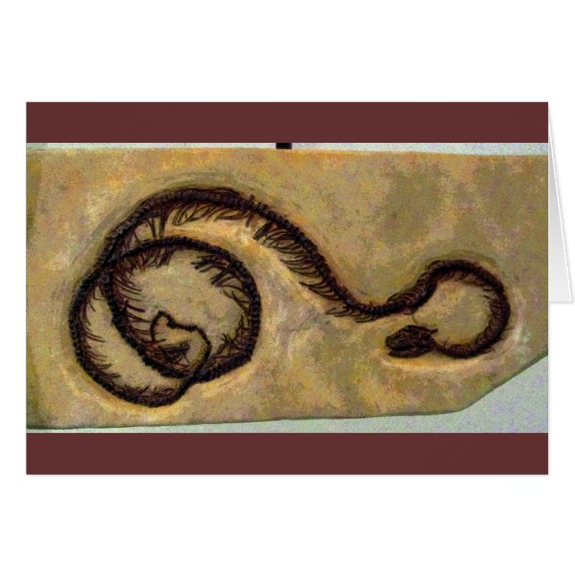 Snake Fossil CB (Voorkant Horizontaal)
