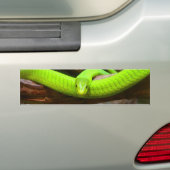 Snake Green Mamba Animal Scary Destiny Bumpersticker (Op auto)