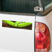 Snake Green Mamba Animal Scary Destiny Bumpersticker (Op Truck)