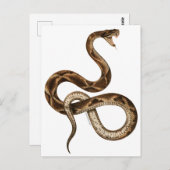  Snake Illustration Fangs Briefkaart (Voorkant / Achterkant)