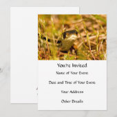 Snake in de gras kaart (Voorkant / Achterkant)