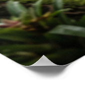 Snake Is Coming Shadow Path Poster (Hoek)