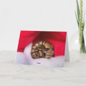 Snake krulde in Santa hat, ball python Feestdagen Kaart (Achterkant)