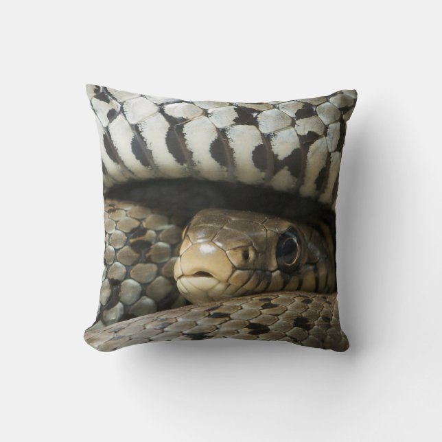 Snake Kussen (Voorkant)