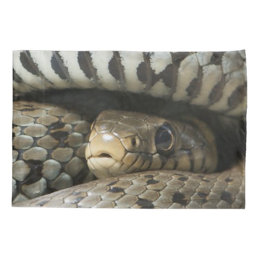 Snake Kussensloop (Achterkant)