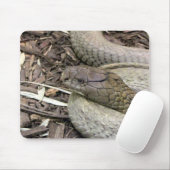 Snake Muismat (Met muis)