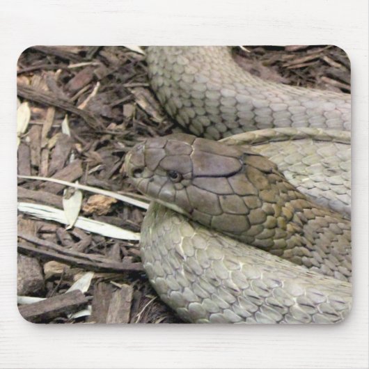 Snake Muismat (Voorkant)