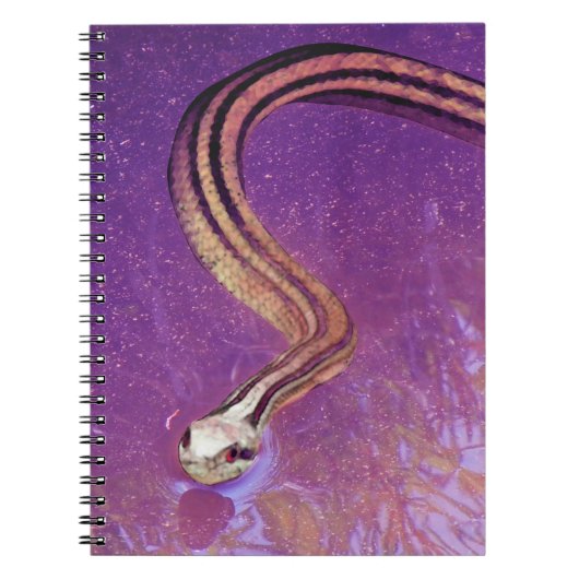 Snake Planet Notitieboek (Voorkant)