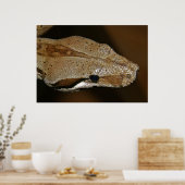 Snake Poster (Keuken)