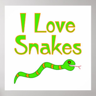 Snake Poster