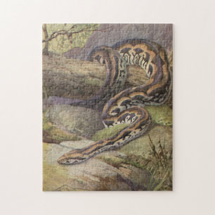 Snake Puzzle Illustratie Legpuzzel