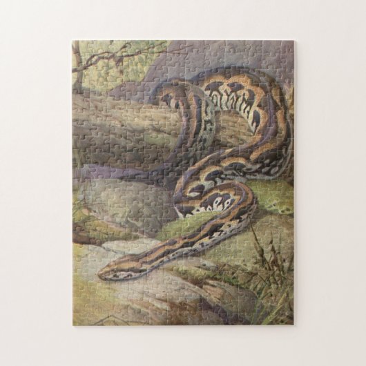 Snake Puzzle Illustratie Legpuzzel (Verticaal)