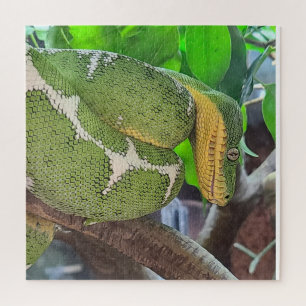 Snake Puzzle Legpuzzel