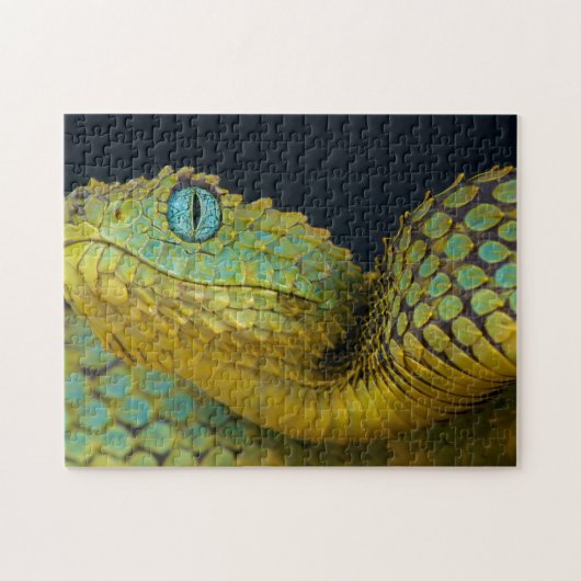 Snake Puzzle - Mooie groene Legpuzzel (Horizontaal)