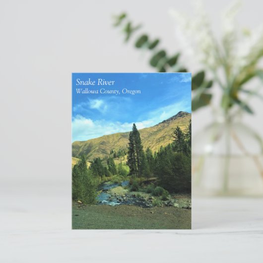 Snake River, comté de Wallowa OU carte postale (Debout devant)