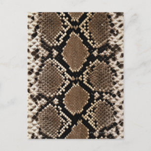 Snake Skin Briefkaart