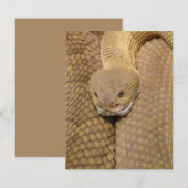 Snake Verjaardag Kaart Happy Verjaardag Snake (Voorkant / Achterkant)