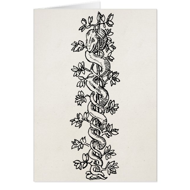  Snake Vine Serpent Border Parchment Lijst (Voorkant)
