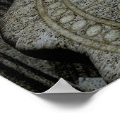 snakelaar poster (Hoek)