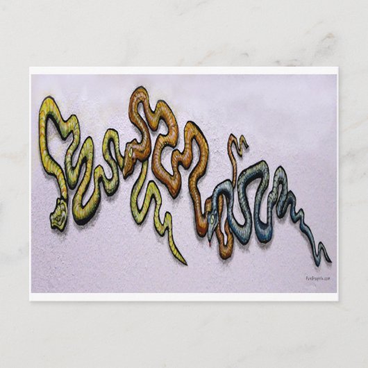 Snakes Briefkaart (Voorkant)