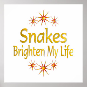 Snakes Brighes mijn leven Poster
