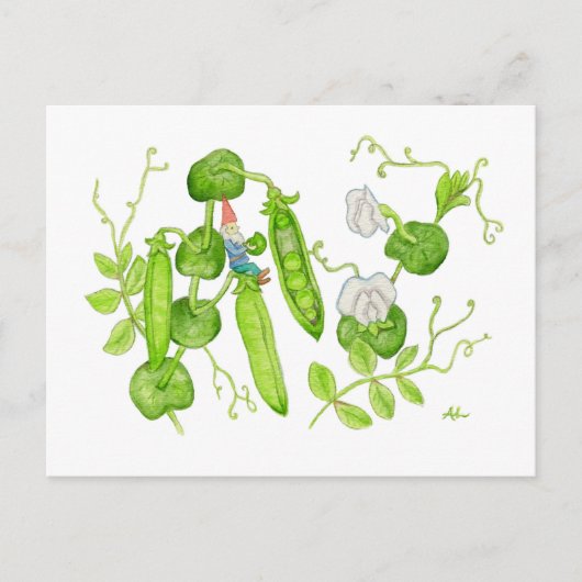 Snap Pea Gnome briefkaart (Voorkant)