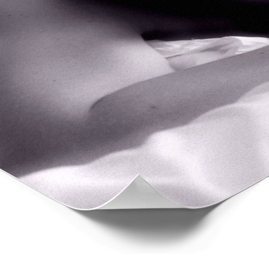 SnapChick Natural Light Studio-Poster Poster (Hoek)