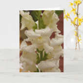 Snapdragon dans le carte pour notes de pluie (Fleur jaune)