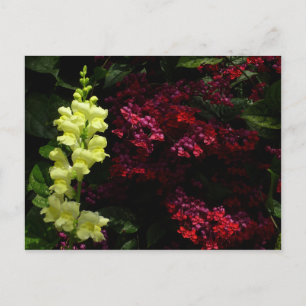 Snapdragon en Pagoda Flowers Colorful Floral Briefkaart