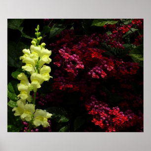Snapdragon en Pagoda Flowers Colorful Floral Poster